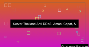 visual server thailand anti ddos