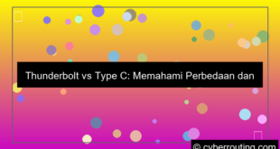 ilustrasi perbedaan thunderbolt dan type c